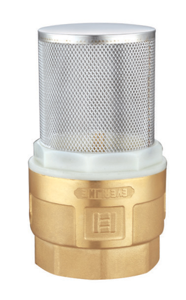 Check valve with brass core and strainer 1-1/2